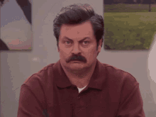 ron swanson gif